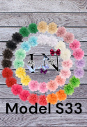 S33